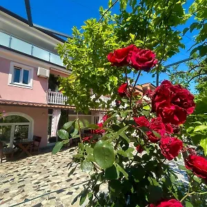 Apartment Tereza, Novigrad Istria
